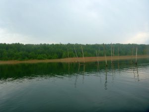 Honeckers-Drewitzsee-2018